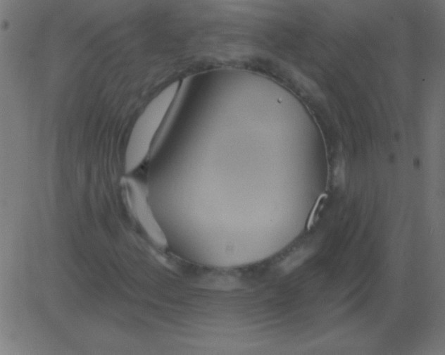 X0000081301156200702012302