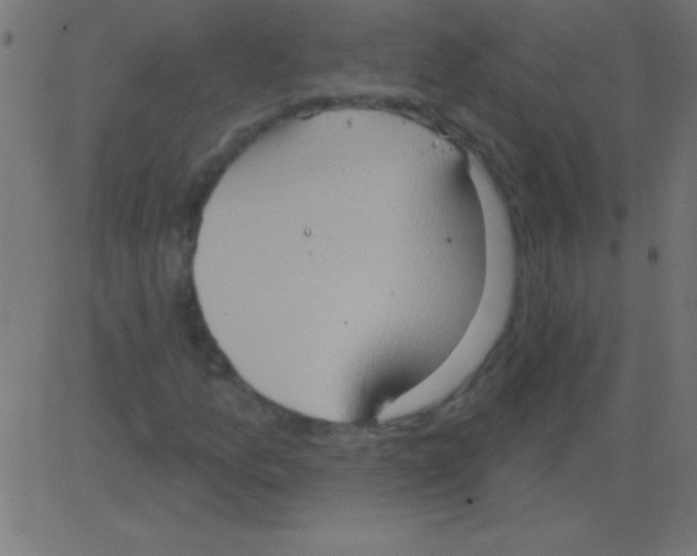 X0000081301157200702012302