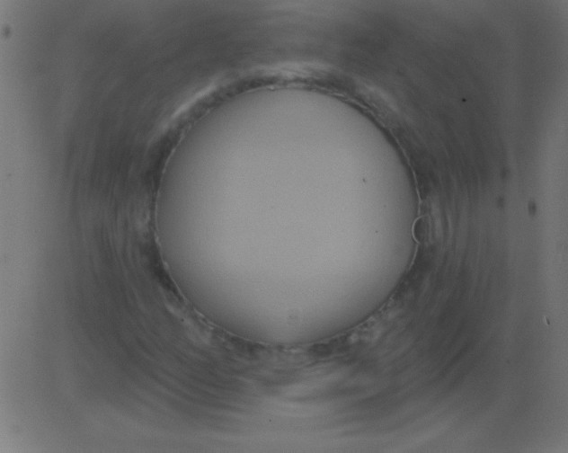 X0000081301158200702012302