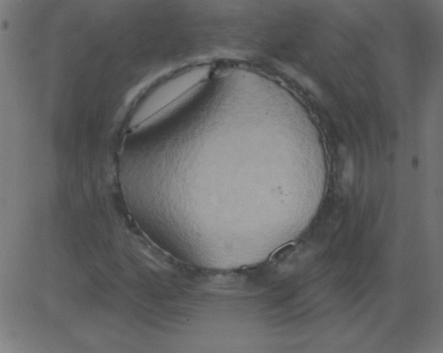 X0000081301160200702012302