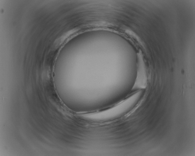 X0000081301161200702012302