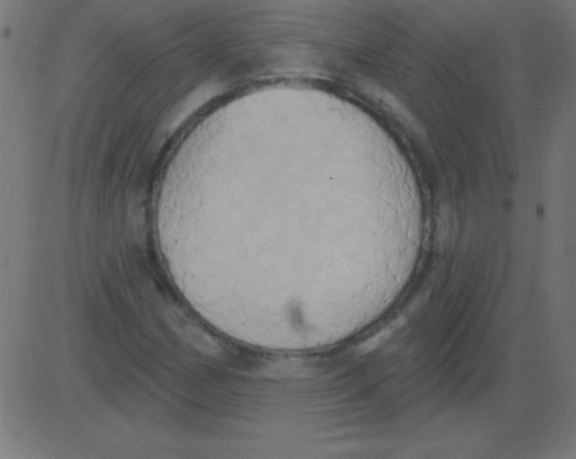 X0000081301162200702012302