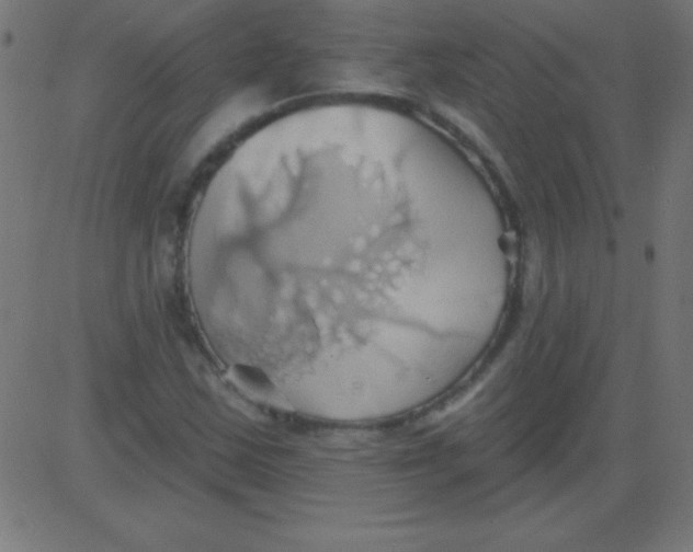 X0000081301163200702012302