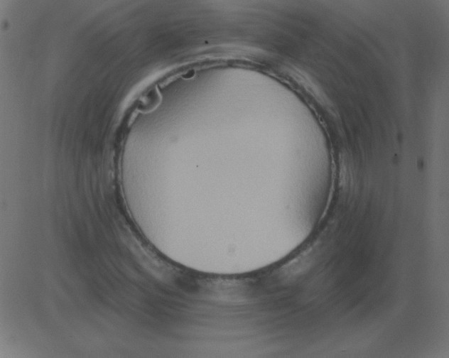 X0000081301164200702012302