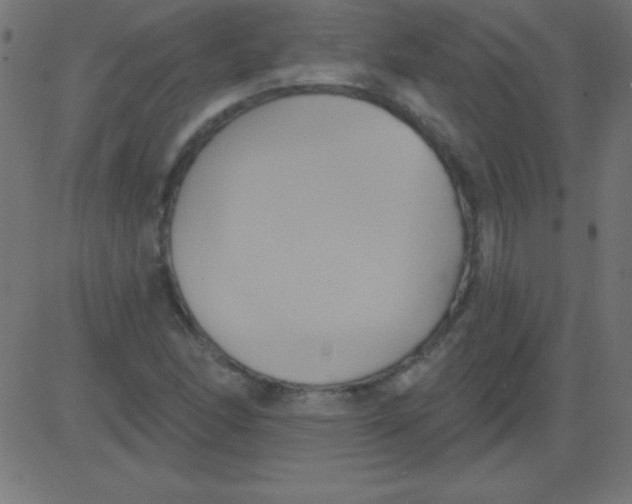 X0000081301166200702012302