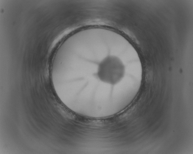 X0000081301167200702012302