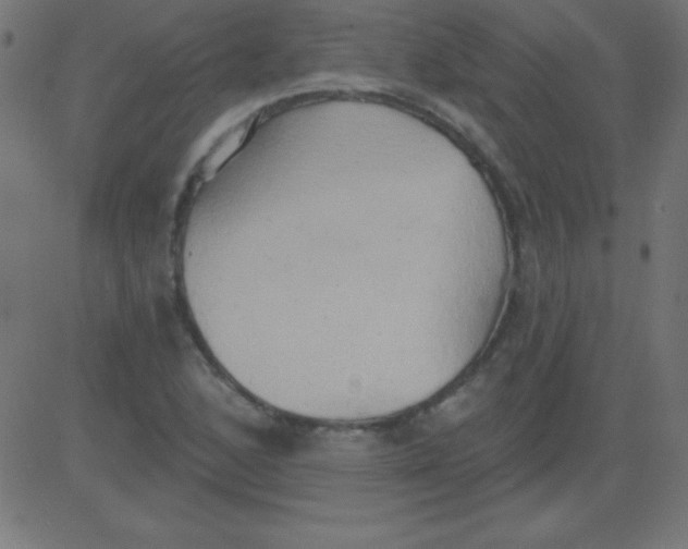 X0000081301168200702012302