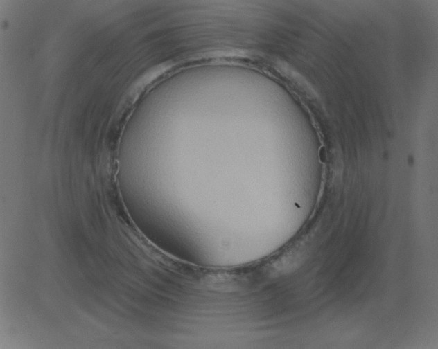 X0000081301169200702012302