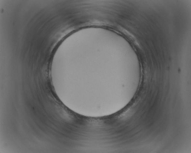 X0000081301170200702012302