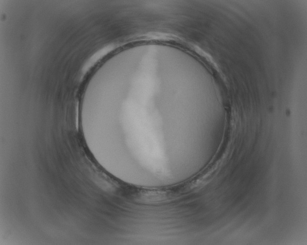 X0000081301171200702012302