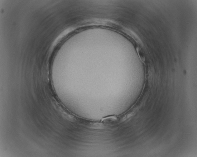 X0000081301172200702012302