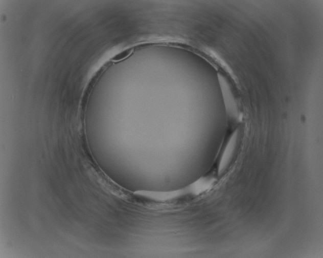 X0000081301173200702012302