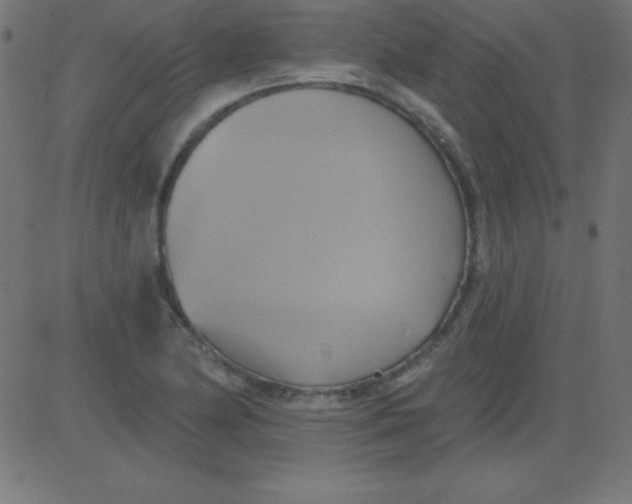 X0000081301174200702012302