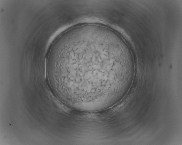 X0000081301175200702012302