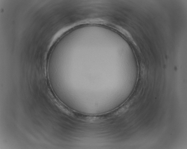 X0000081301176200702012302