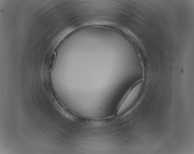 X0000081301177200702012302