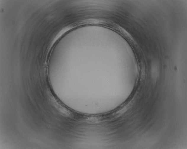 X0000081301178200702012302