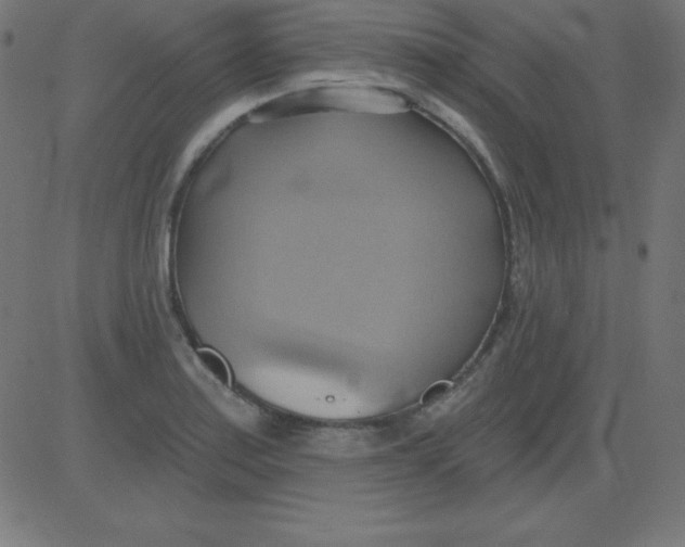 X0000081301179200702012302