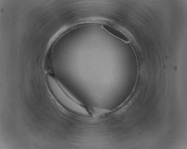 X0000081301180200702012302