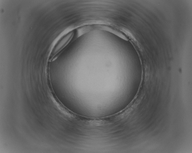 X0000081301181200702012302