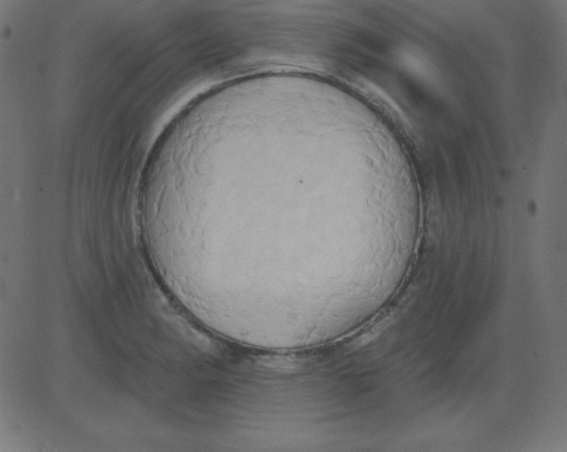 X0000081301182200702012302