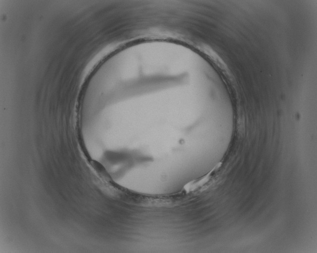 X0000081301183200702012301