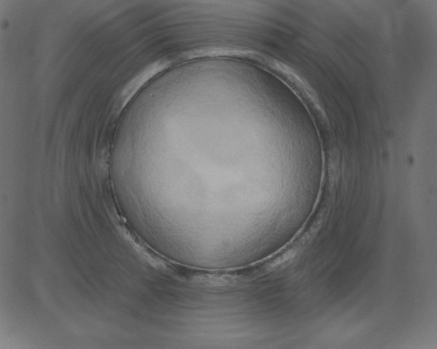 X0000081301185200702012301