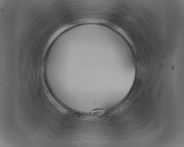 X0000081301187200702012301