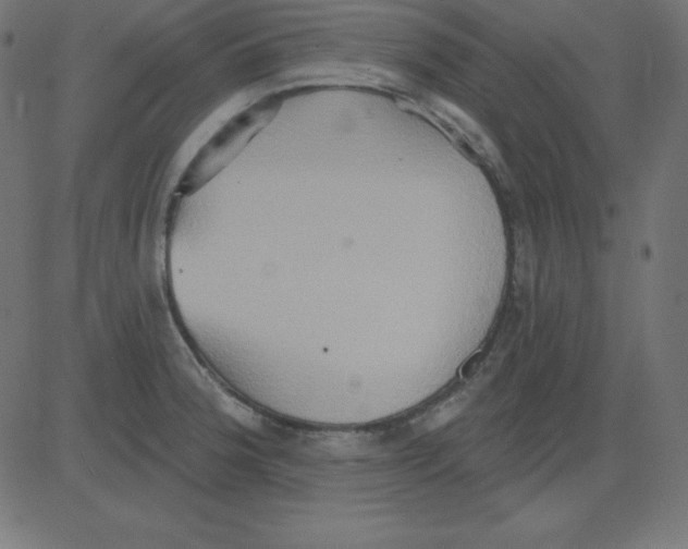 X0000081301188200702012301