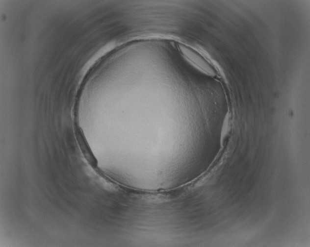 X0000081301189200702012301