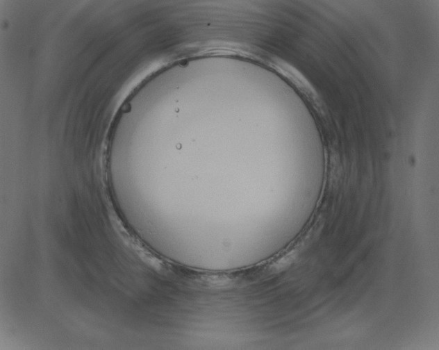 X0000081301190200702012301