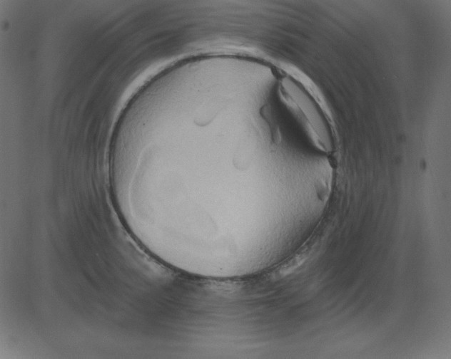 X0000081301191200702012301