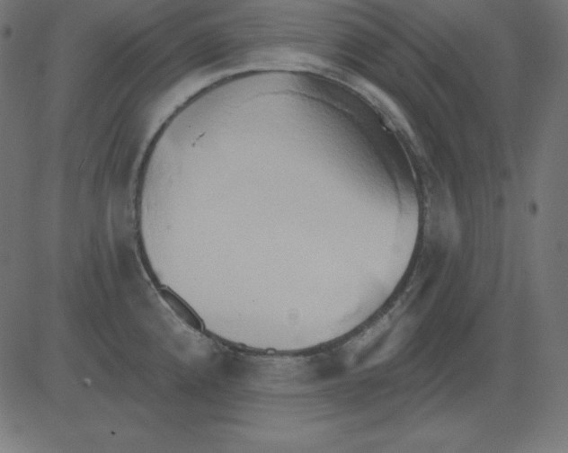 X0000081301192200702012301