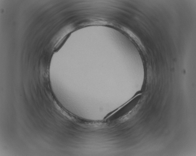 X0000081301193200702012301