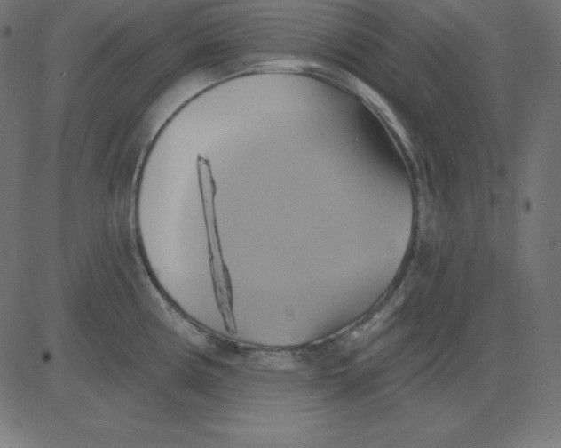 X0000081301194200702012301