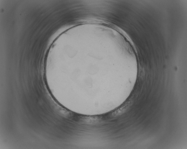 X0000081301195200702012301