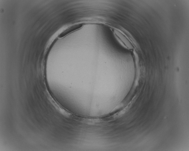 X0000081301196200702012301