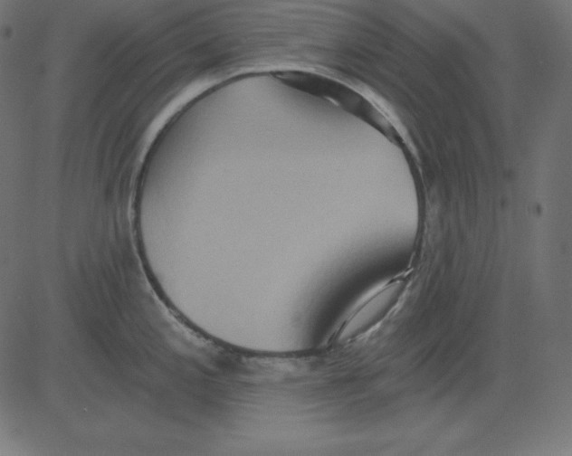 X0000081301197200702012301