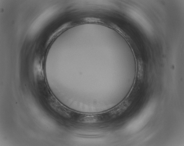 X0000081301198200702012301