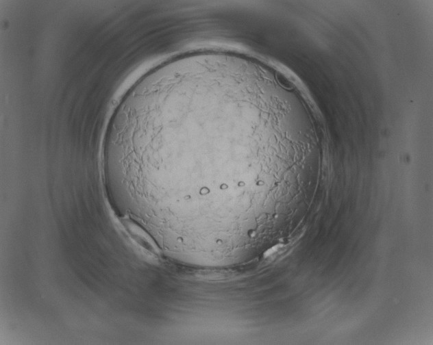 X0000081301199200702012301