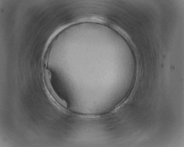 X0000081301200200702012301