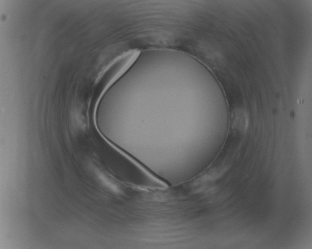 X0000081301202200702012300