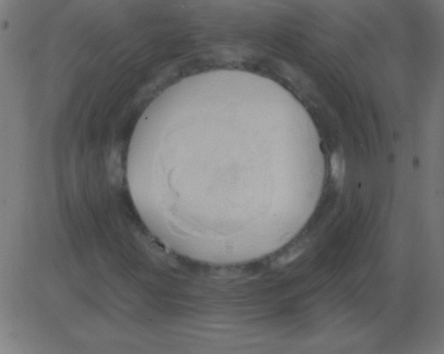 X0000081301203200702012300