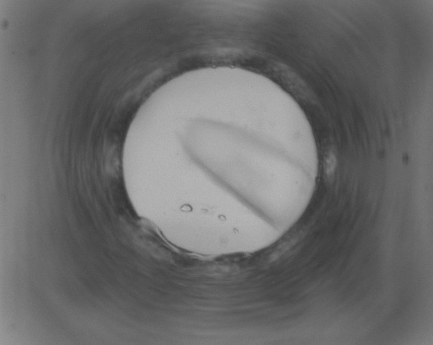 X0000081301204200702012300