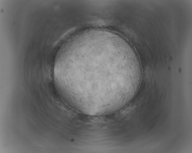 X0000081301205200702012300