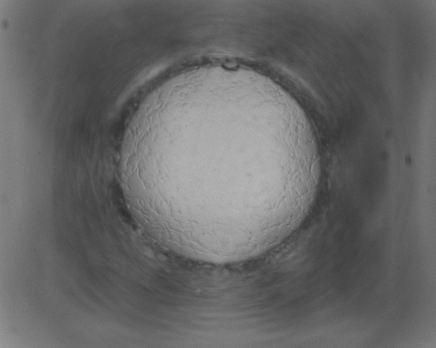 X0000081301207200702012301