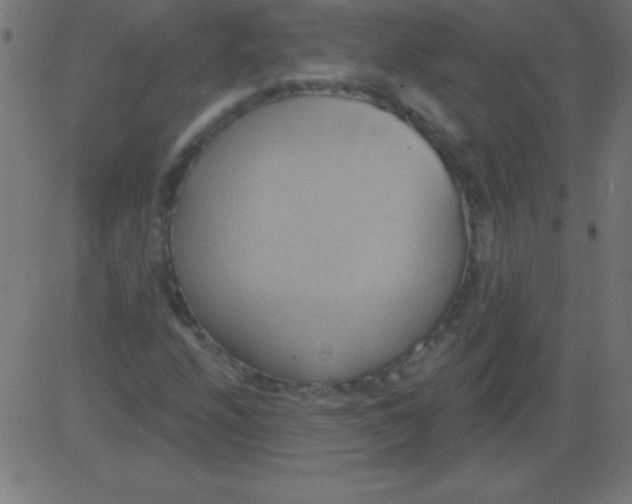 X0000081301208200702012301