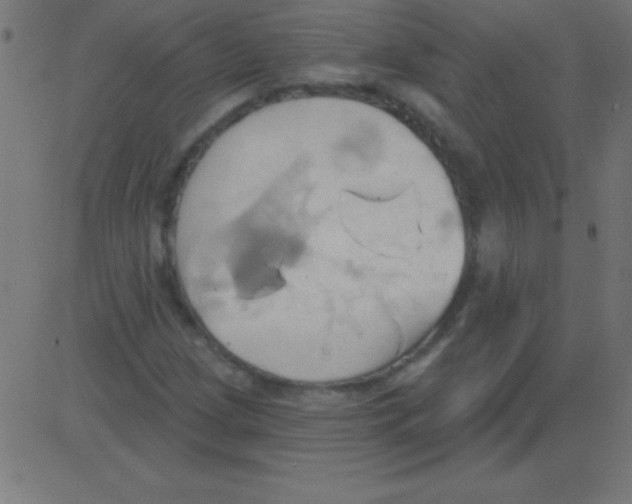 X0000081301209200702012301