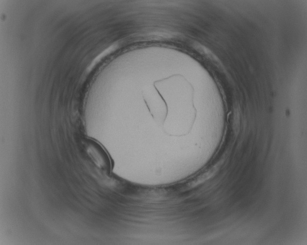 X0000081301210200702012301