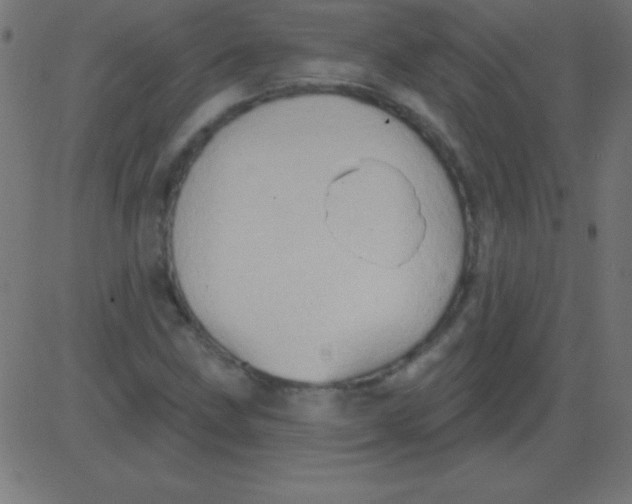 X0000081301211200702012301